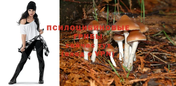 дживик Алексеевка